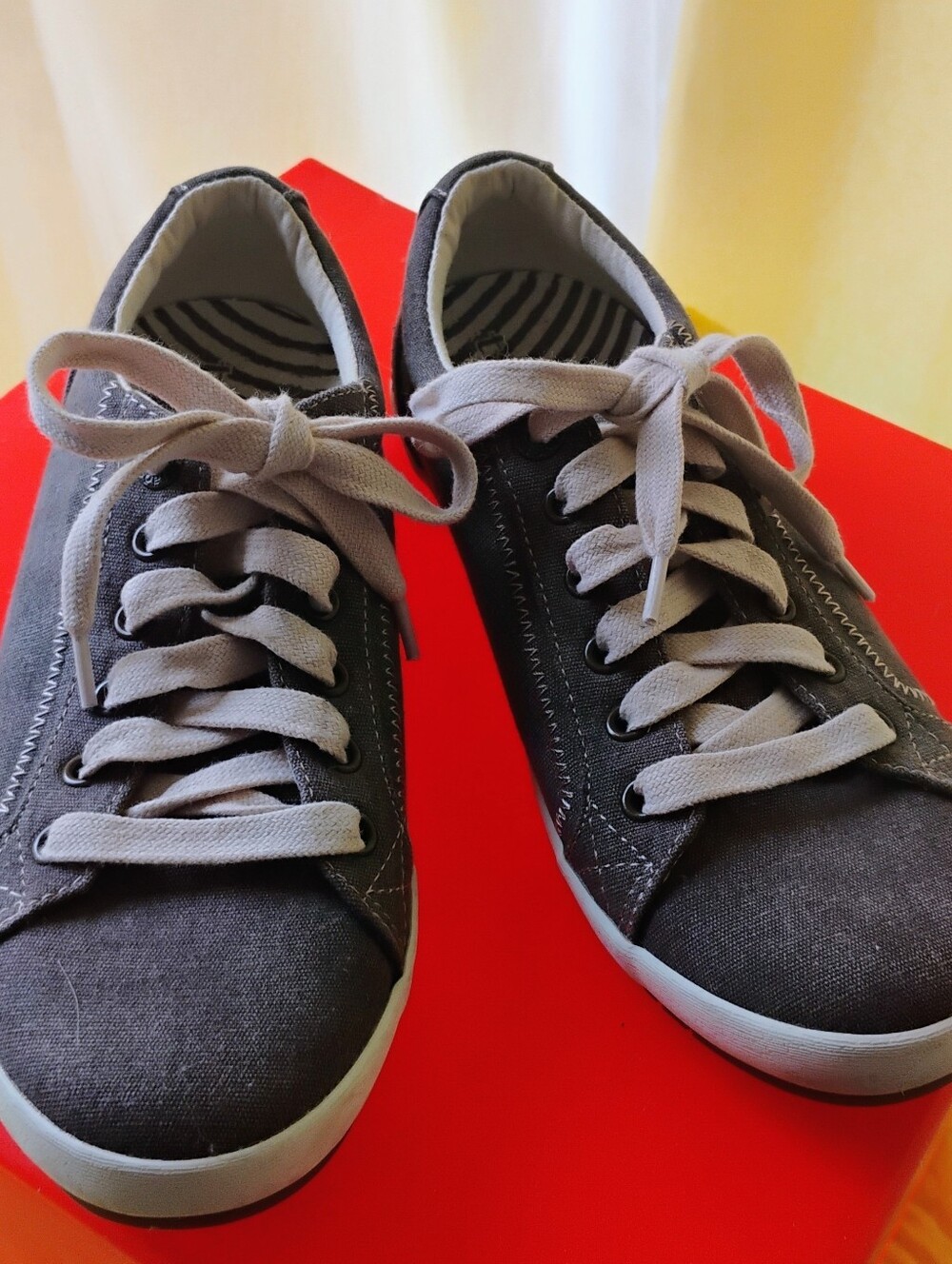 Women's Taos Star Canvas Sneakers